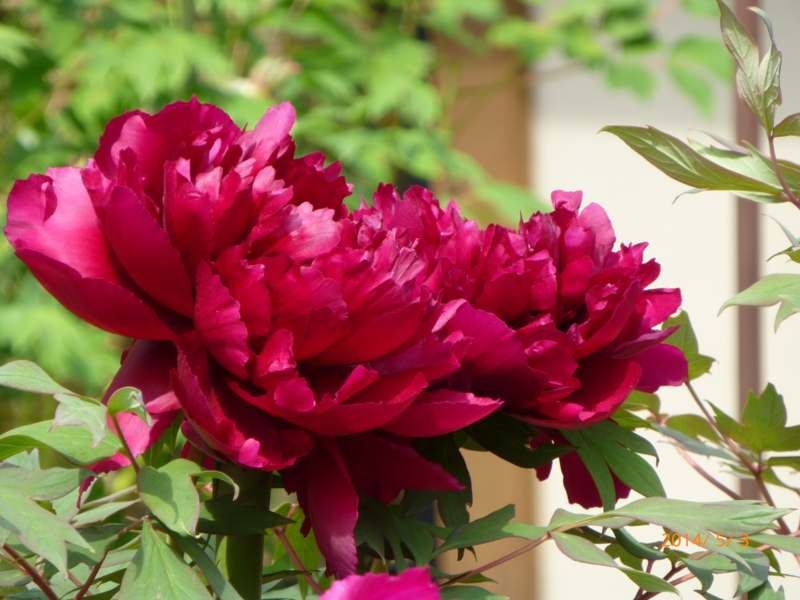 f:id:k10no3:20140503140840j:image:w560 f:id:k10no3:20140503140840j:image:w560