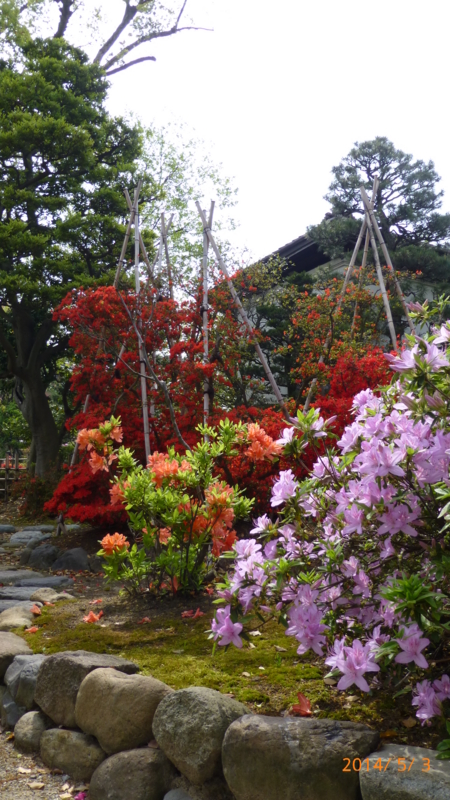 f:id:k10no3:20140503141308j:image:w279