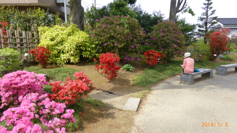 f:id:k10no3:20140503141323j:image:w279