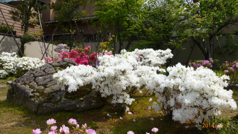 f:id:k10no3:20140503141410j:image:w560