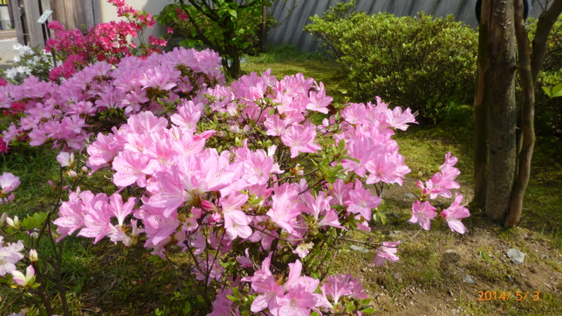 f:id:k10no3:20140503141532j:image:w560 f:id:k10no3:20140503141532j:image:w560