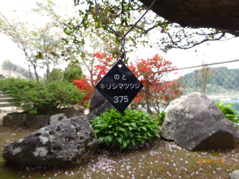 f:id:k10no3:20140504135407j:image:w560 f:id:k10no3:20140504135407j:image:w560