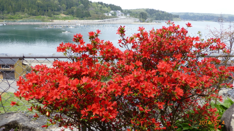 f:id:k10no3:20140504135529j:image:w279