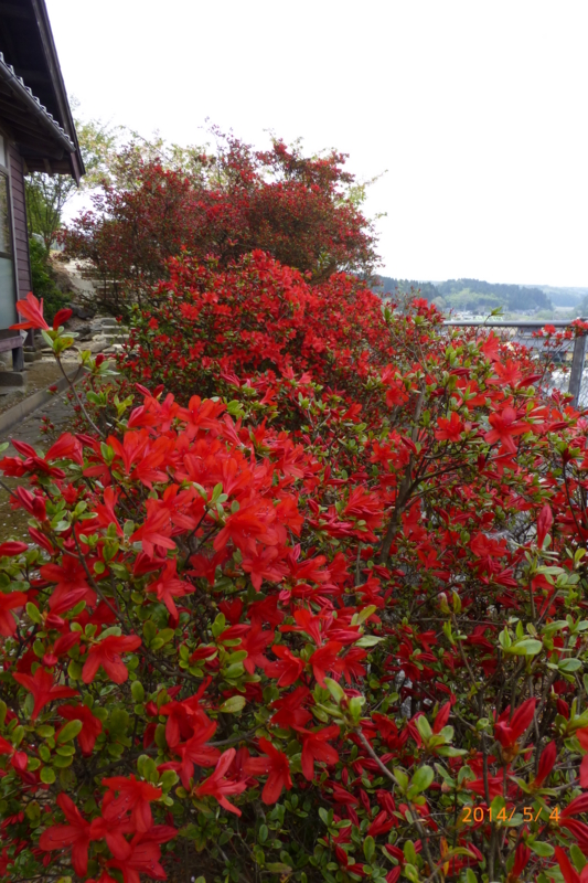 f:id:k10no3:20140504135647j:image:w360 f:id:k10no3:20140504135647j:image:w360