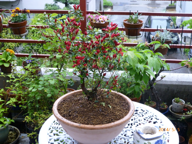f:id:k10no3:20140505134533j:image:w560 f:id:k10no3:20140505134533j:image:w560