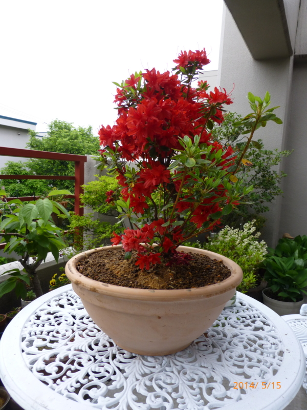 f:id:k10no3:20140515063030j:image:w420