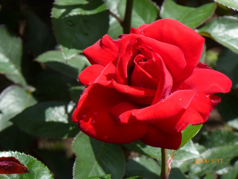 f:id:k10no3:20140517101156j:image:w560