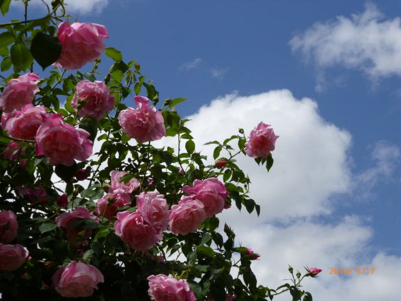 f:id:k10no3:20140517101815j:image:w560
