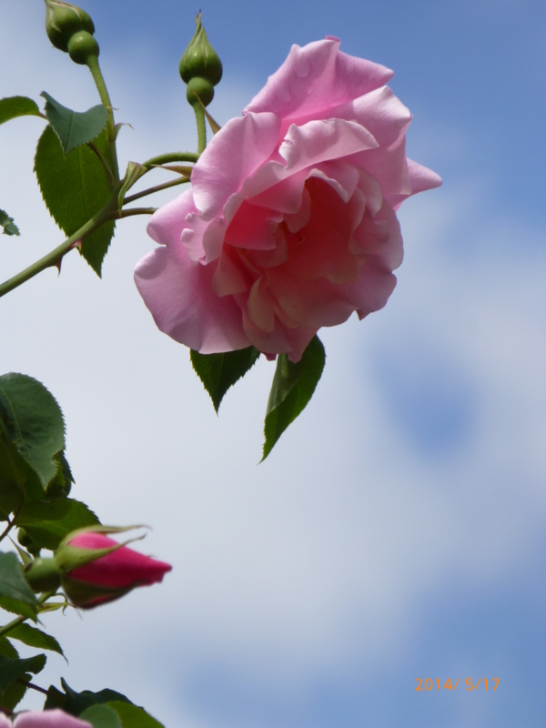 f:id:k10no3:20140517101909j:image:w420