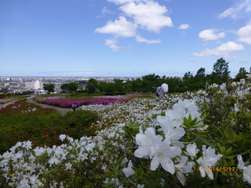 f:id:k10no3:20140517104411j:image:w560