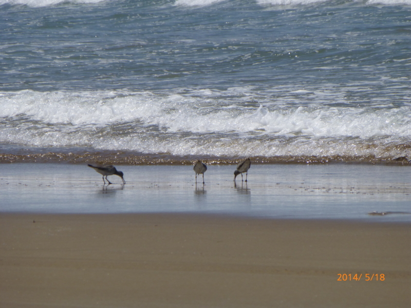f:id:k10no3:20140518111638j:image:w279