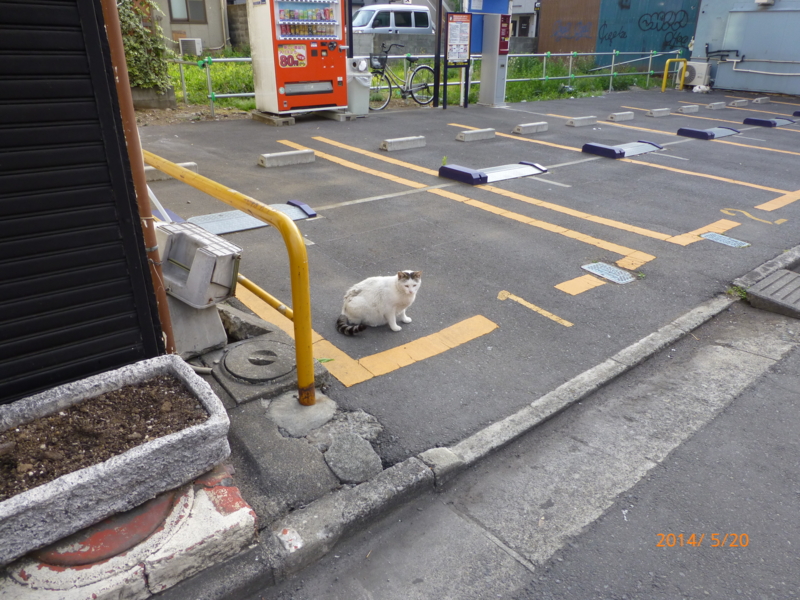 f:id:k10no3:20140520055333j:image:w279
