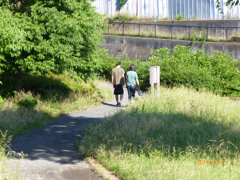 f:id:k10no3:20140614073923j:image:w560