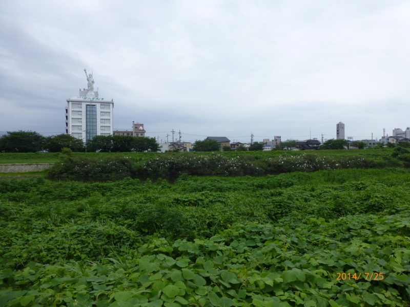 f:id:k10no3:20140725084233j:image:w560