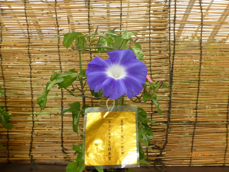 f:id:k10no3:20140803102717j:image:w279