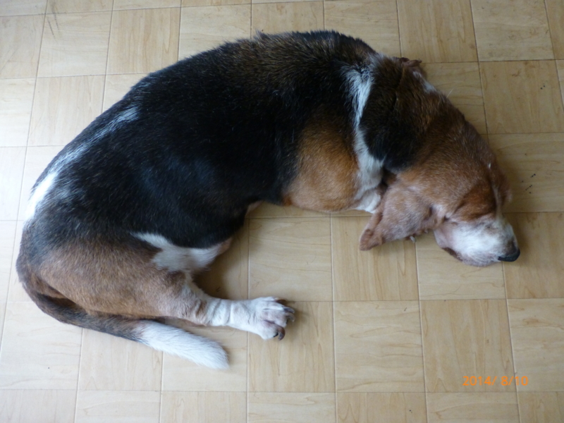 f:id:k10no3:20140810095227j:image:w560