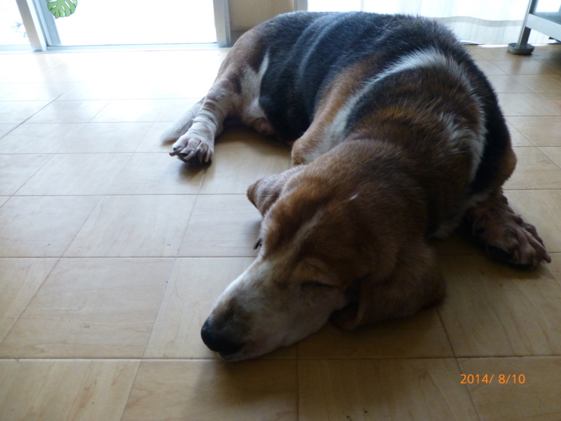 f:id:k10no3:20140810095250j:image:w560