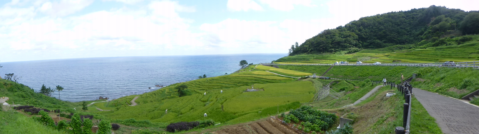 f:id:k10no3:20140830093845j:image:w560 f:id:k10no3:20140830093845j:image:w560