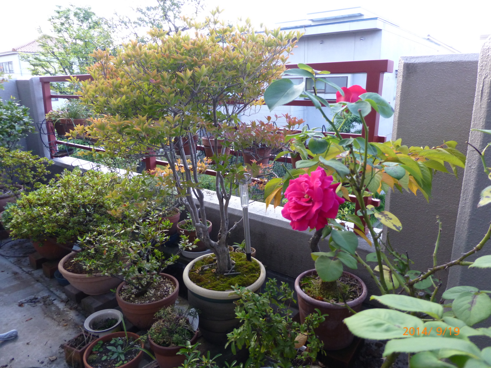 f:id:k10no3:20140919064005j:image:w560