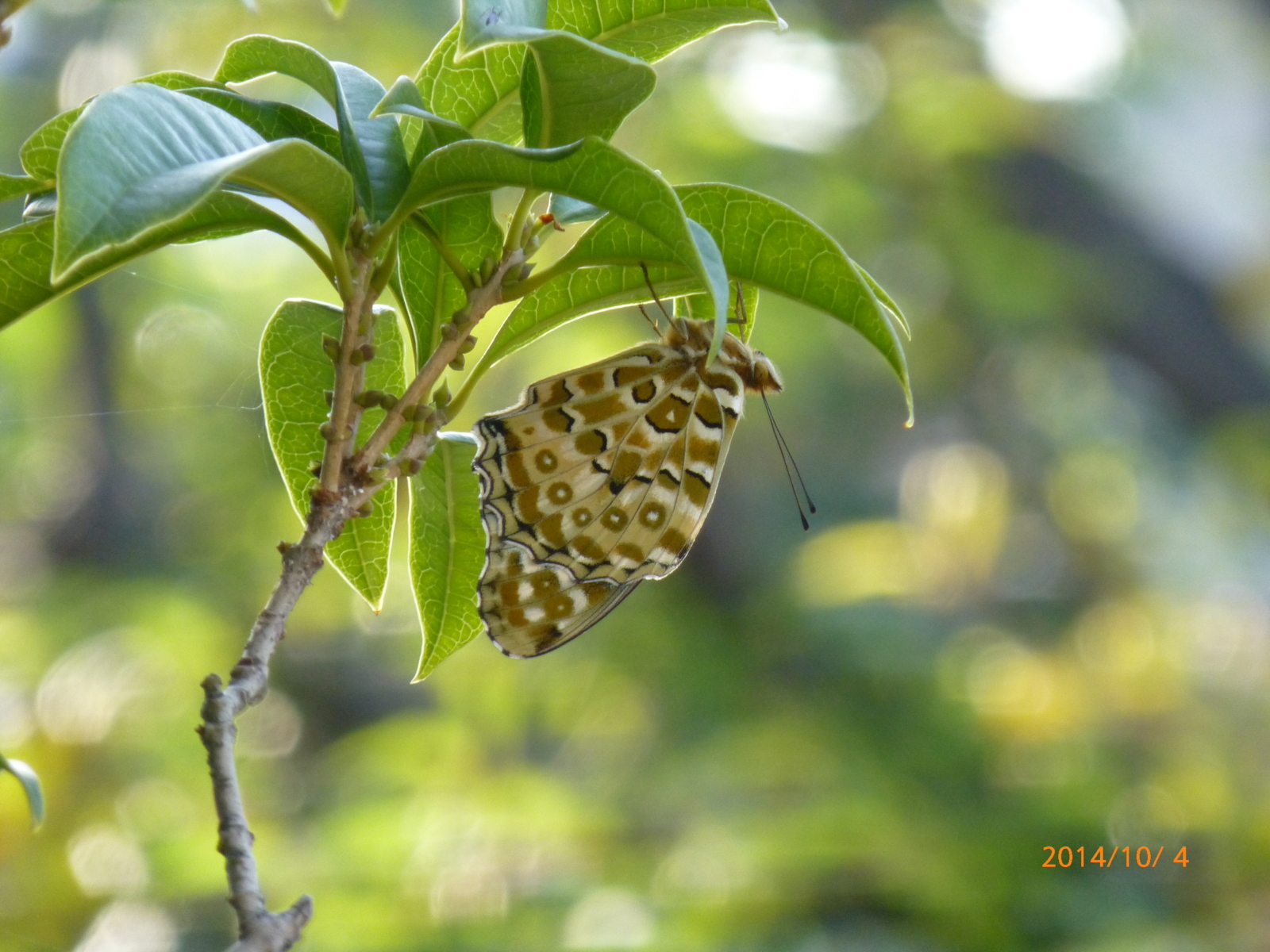 f:id:k10no3:20141004070816j:image:w560