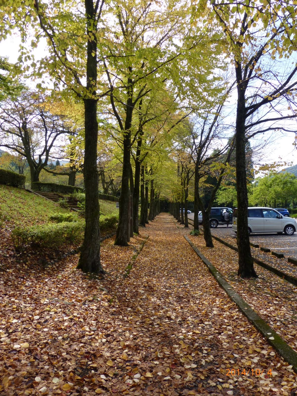 f:id:k10no3:20141004104317j:image:w420
