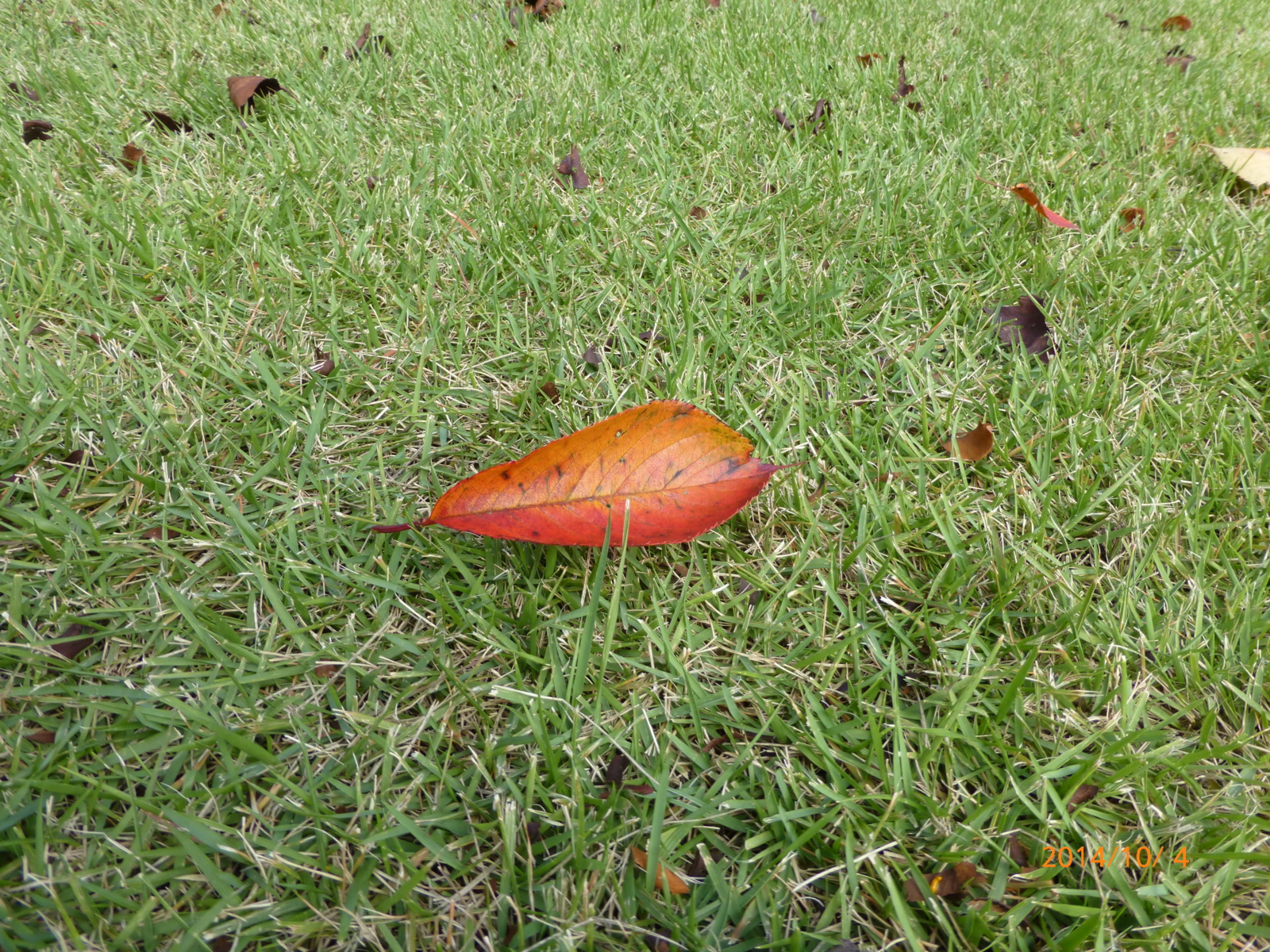 f:id:k10no3:20141004104648j:image:w560
