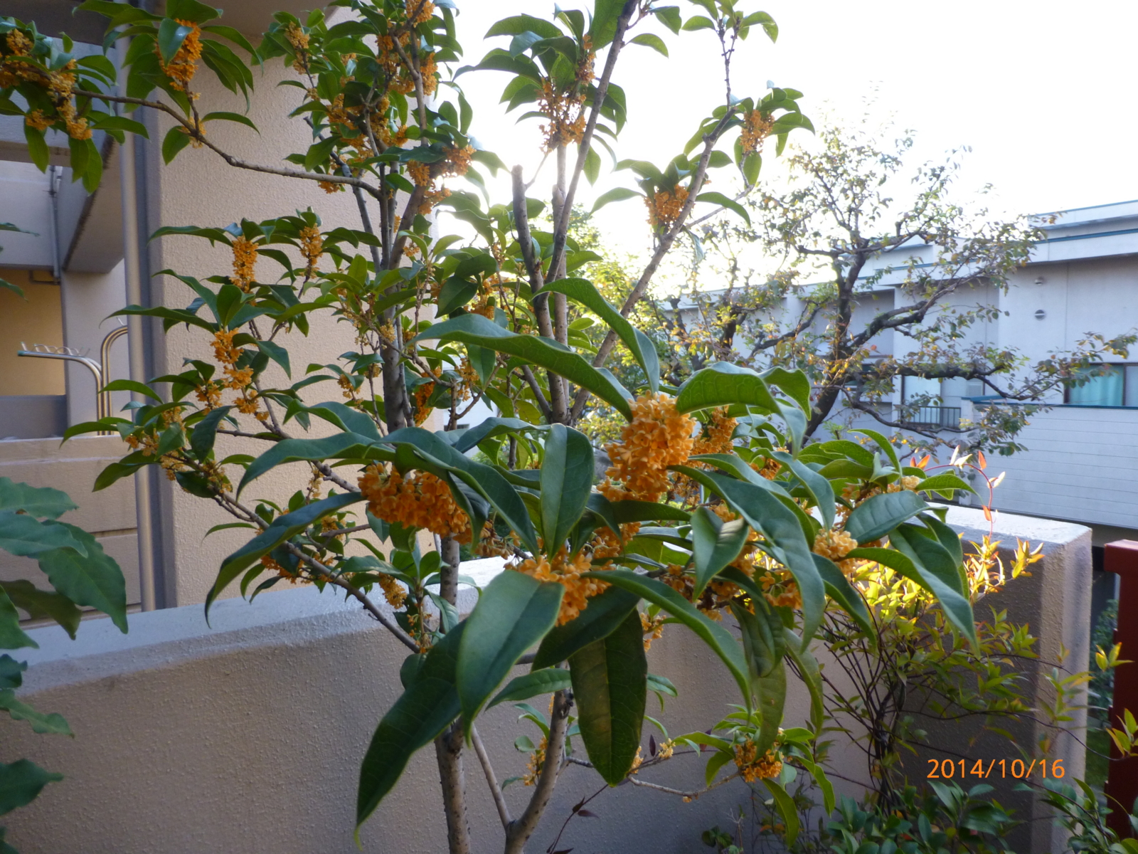 f:id:k10no3:20141016063241j:image:w560