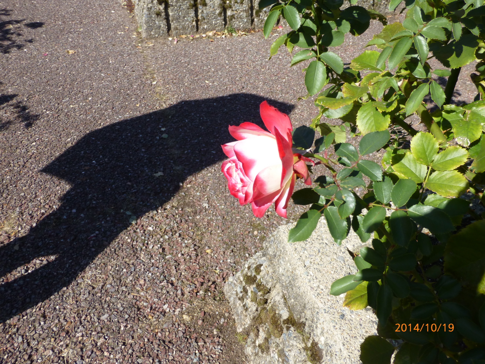 f:id:k10no3:20141019101106j:image:w560 f:id:k10no3:20141019101106j:image:w560