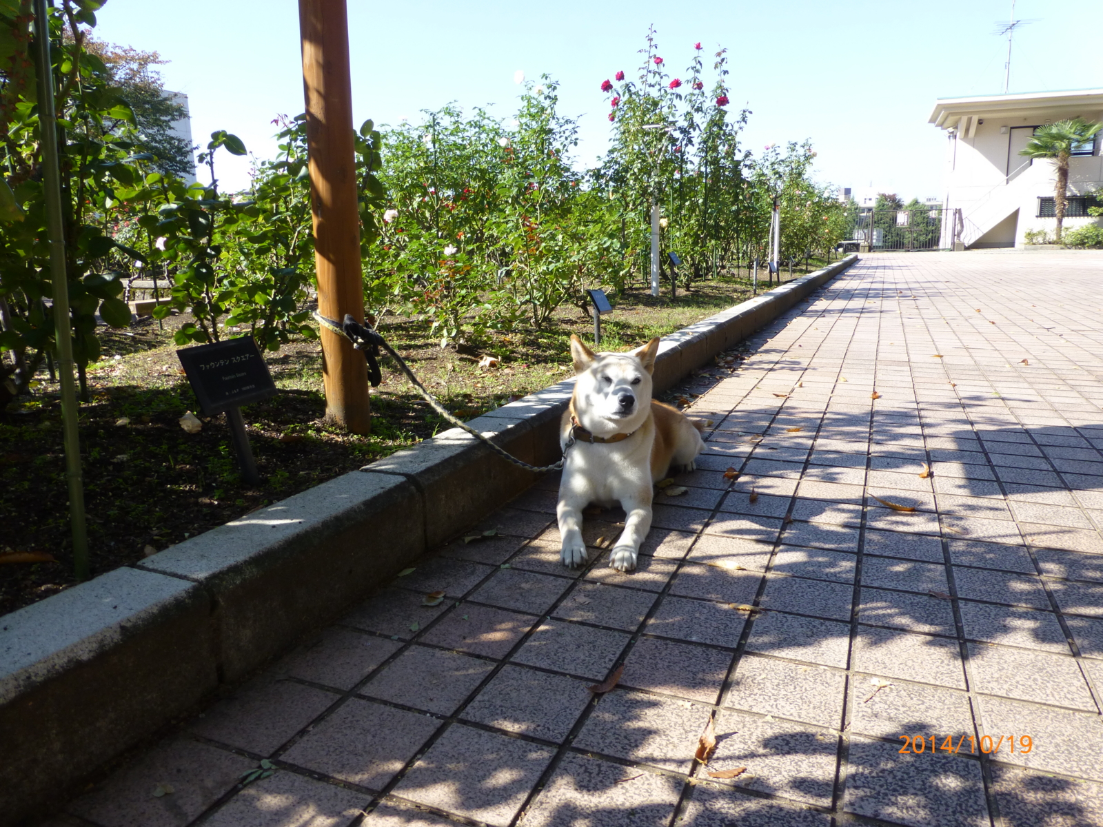 f:id:k10no3:20141019101235j:image:w560 f:id:k10no3:20141019101235j:image:w560