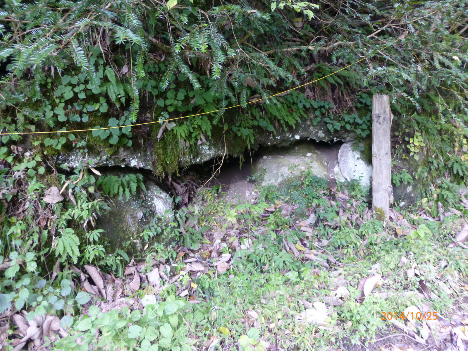 f:id:k10no3:20141025154059j:image:w279