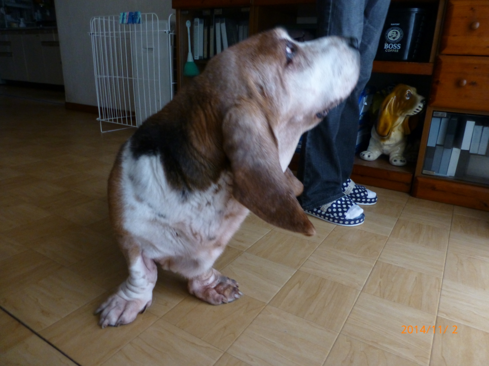 f:id:k10no3:20141102143149j:image:w560 f:id:k10no3:20141102143149j:image:w560