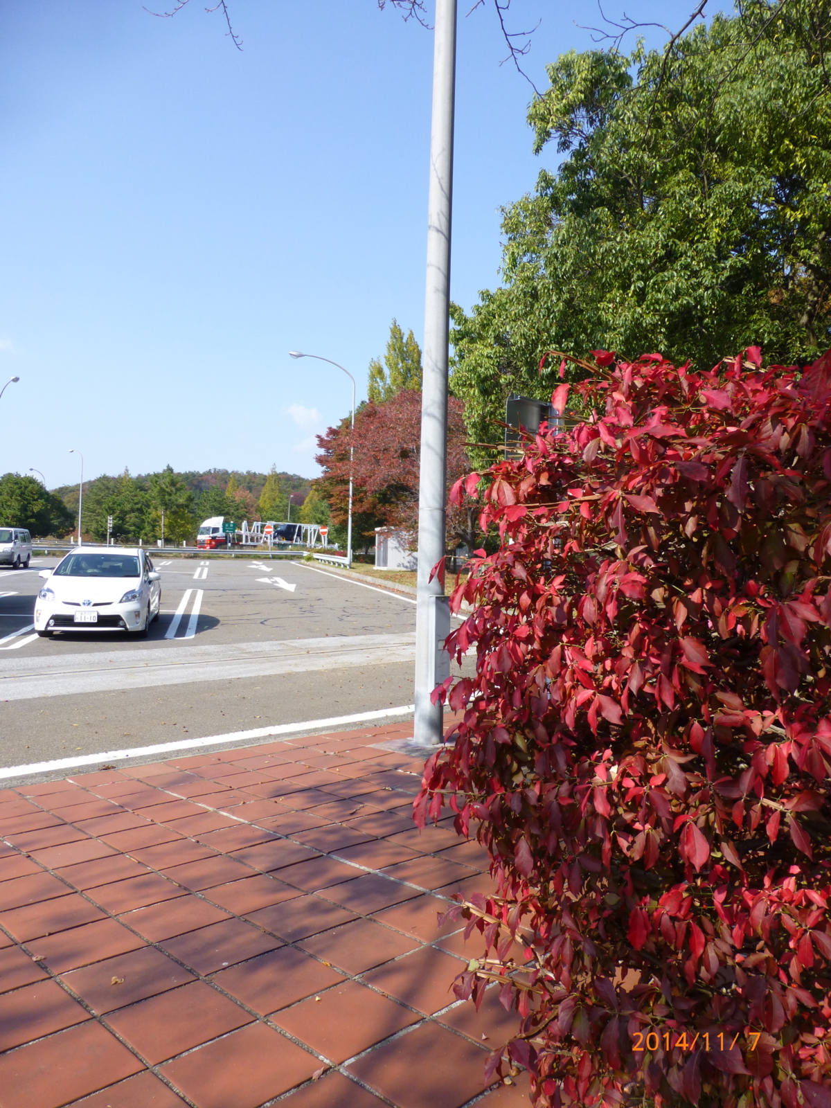 f:id:k10no3:20141107113000j:image:w420