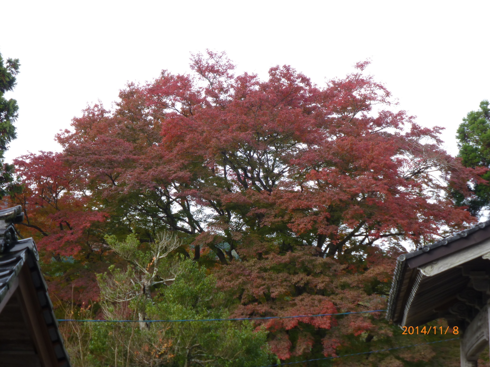 f:id:k10no3:20141108142737j:image:w560