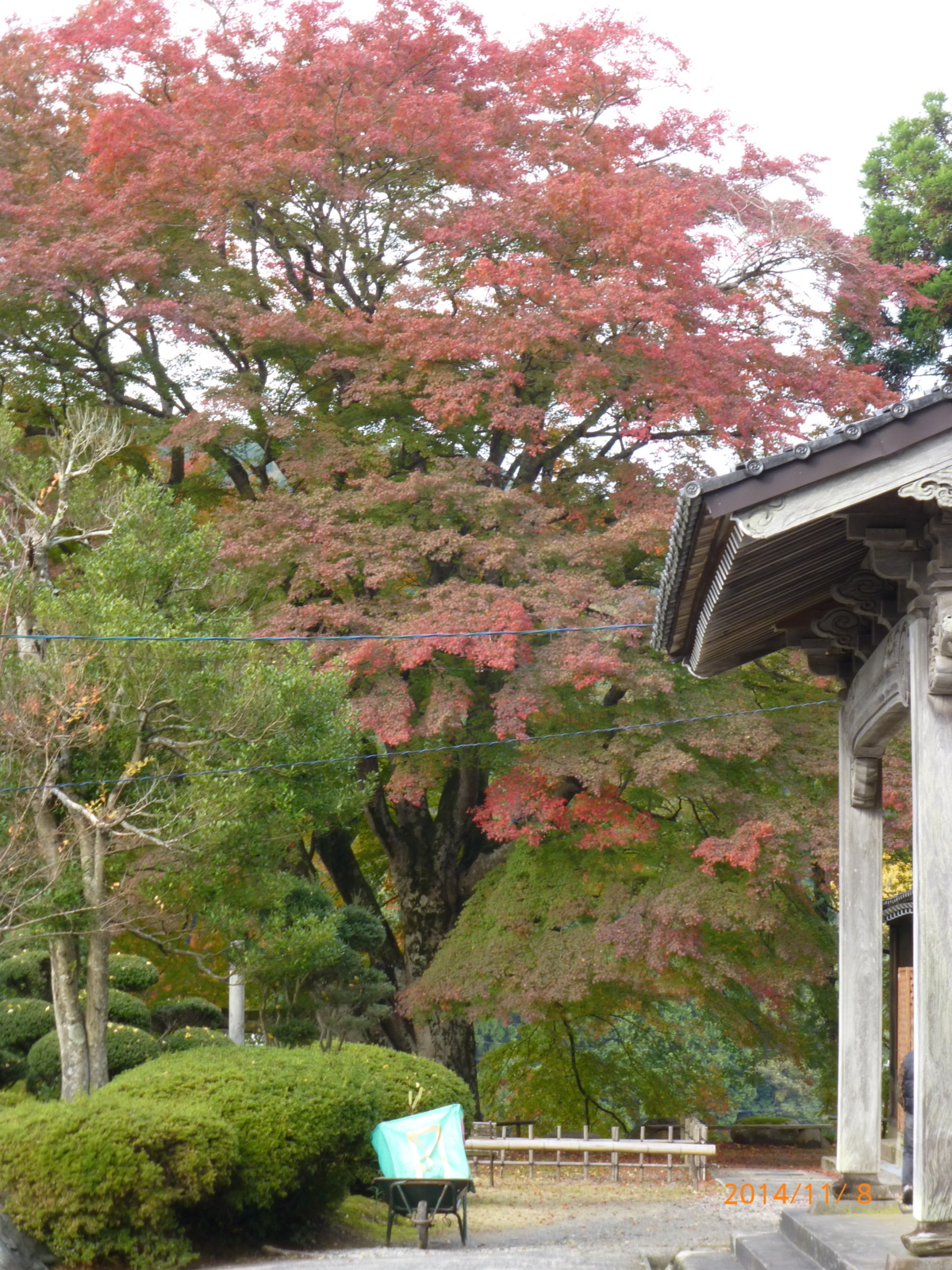 f:id:k10no3:20141108142746j:image:w279