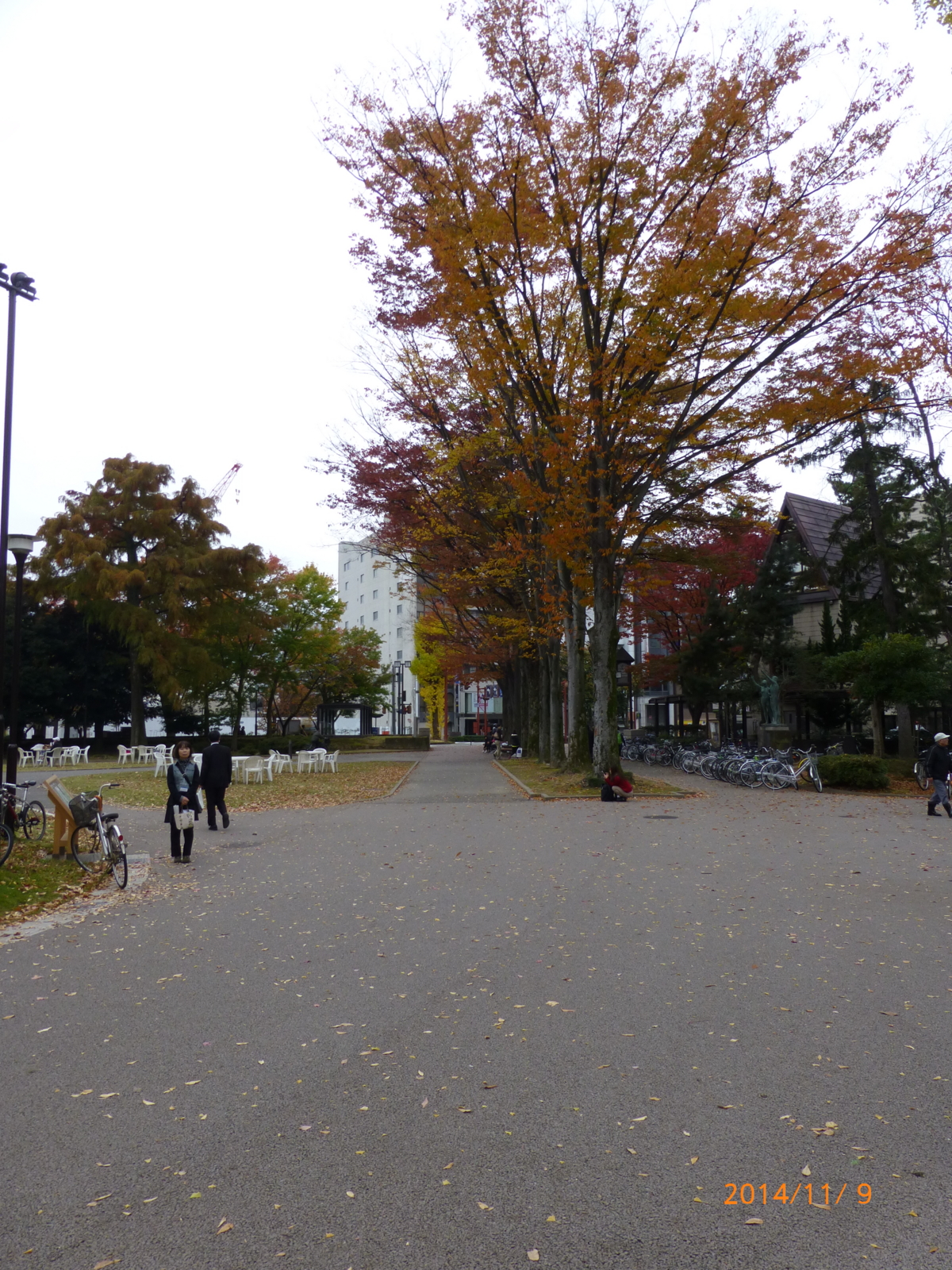 f:id:k10no3:20141109085610j:image:w420