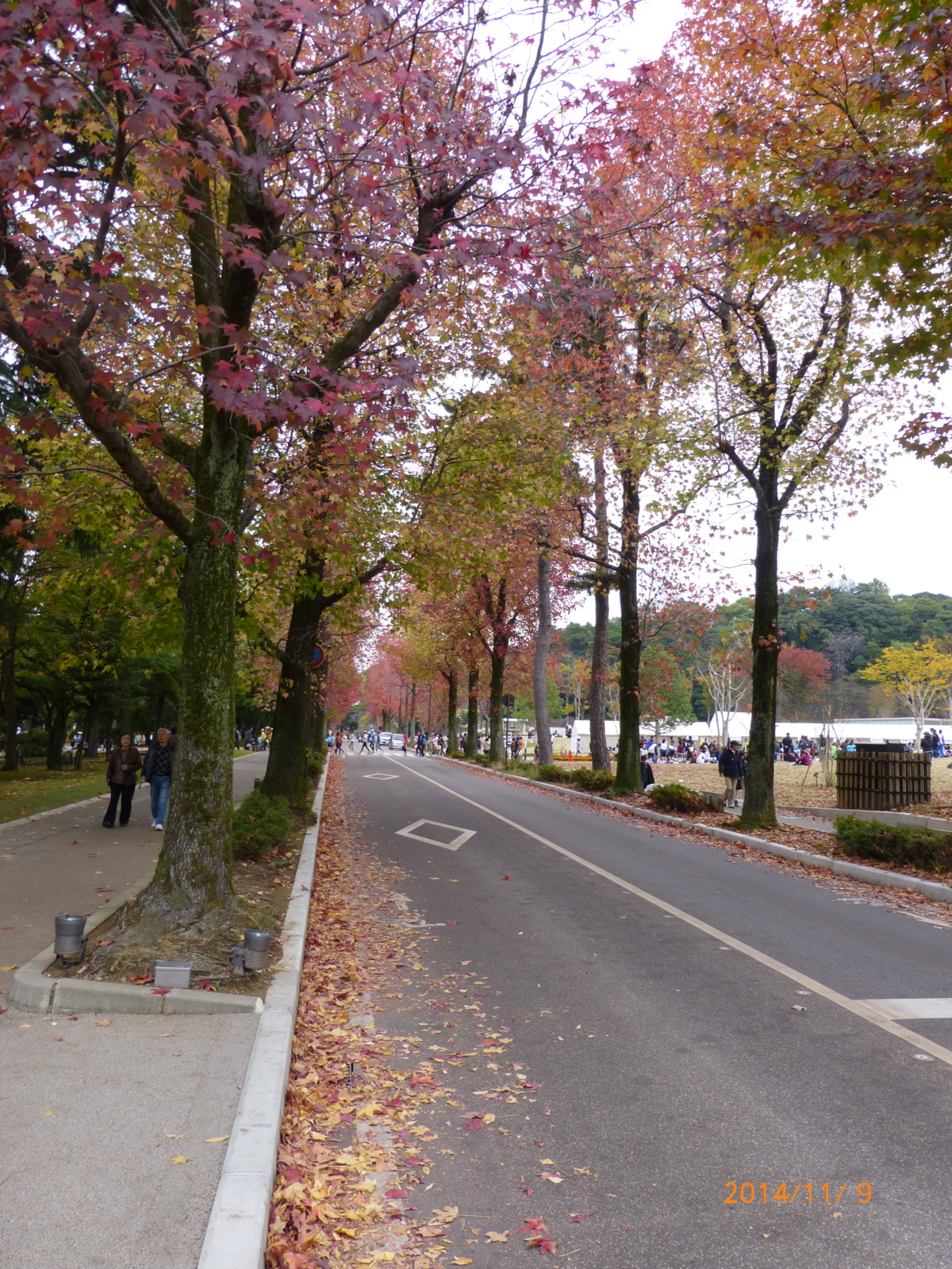 f:id:k10no3:20141109085915j:image:w420
