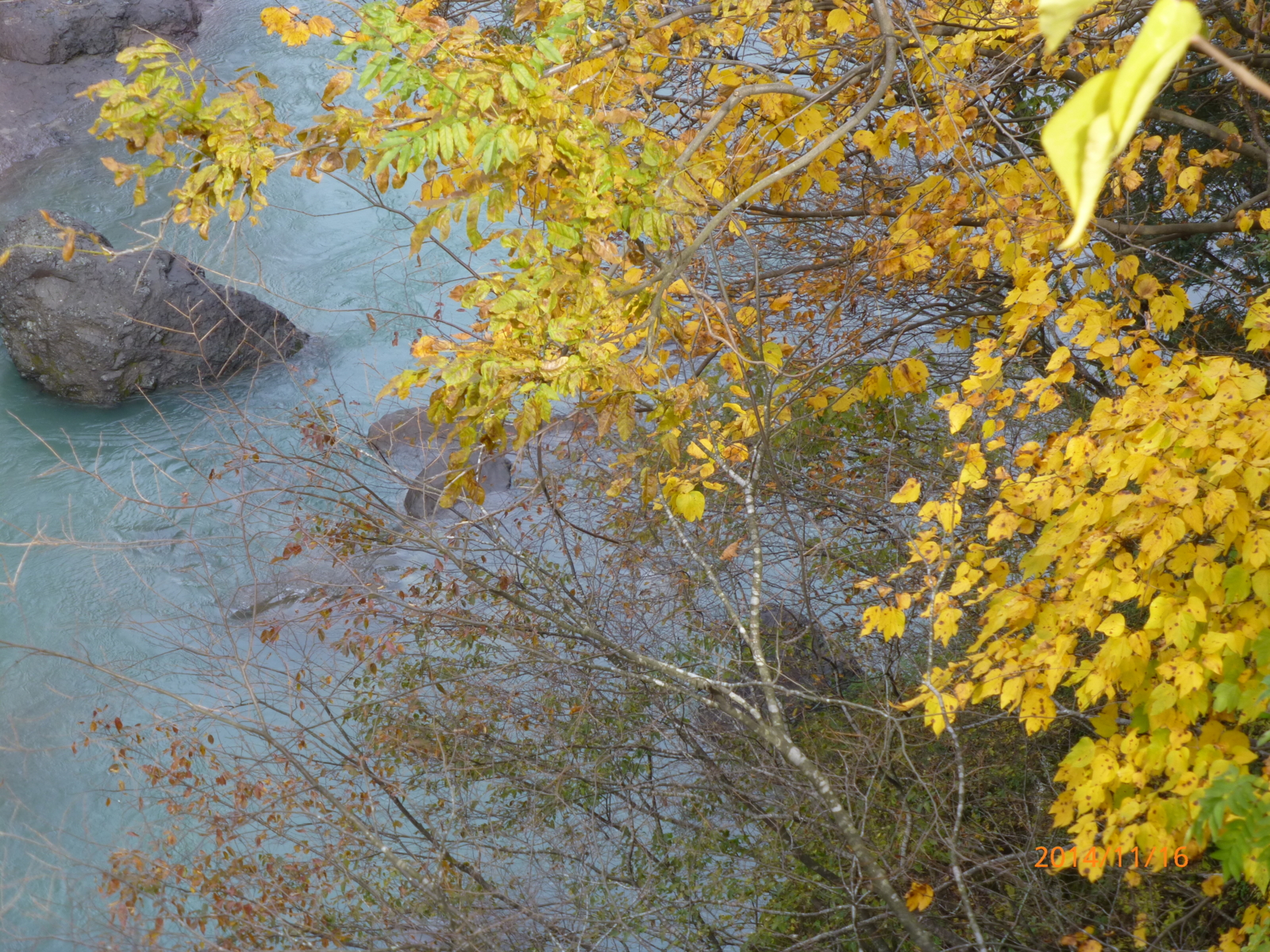 f:id:k10no3:20141116114906j:image:w560