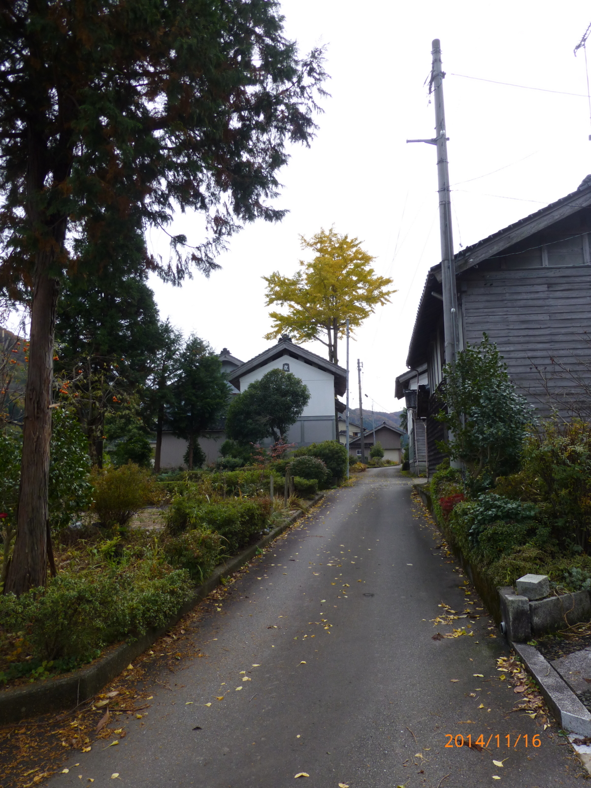 f:id:k10no3:20141116131334j:image:w279
