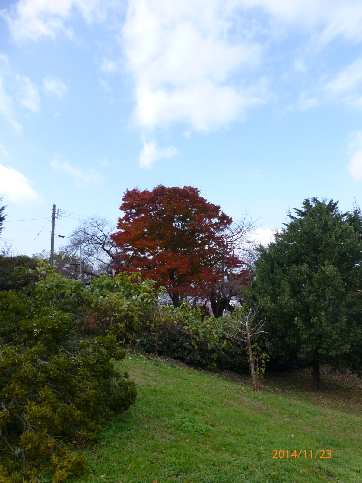 f:id:k10no3:20141123111300j:image:w279