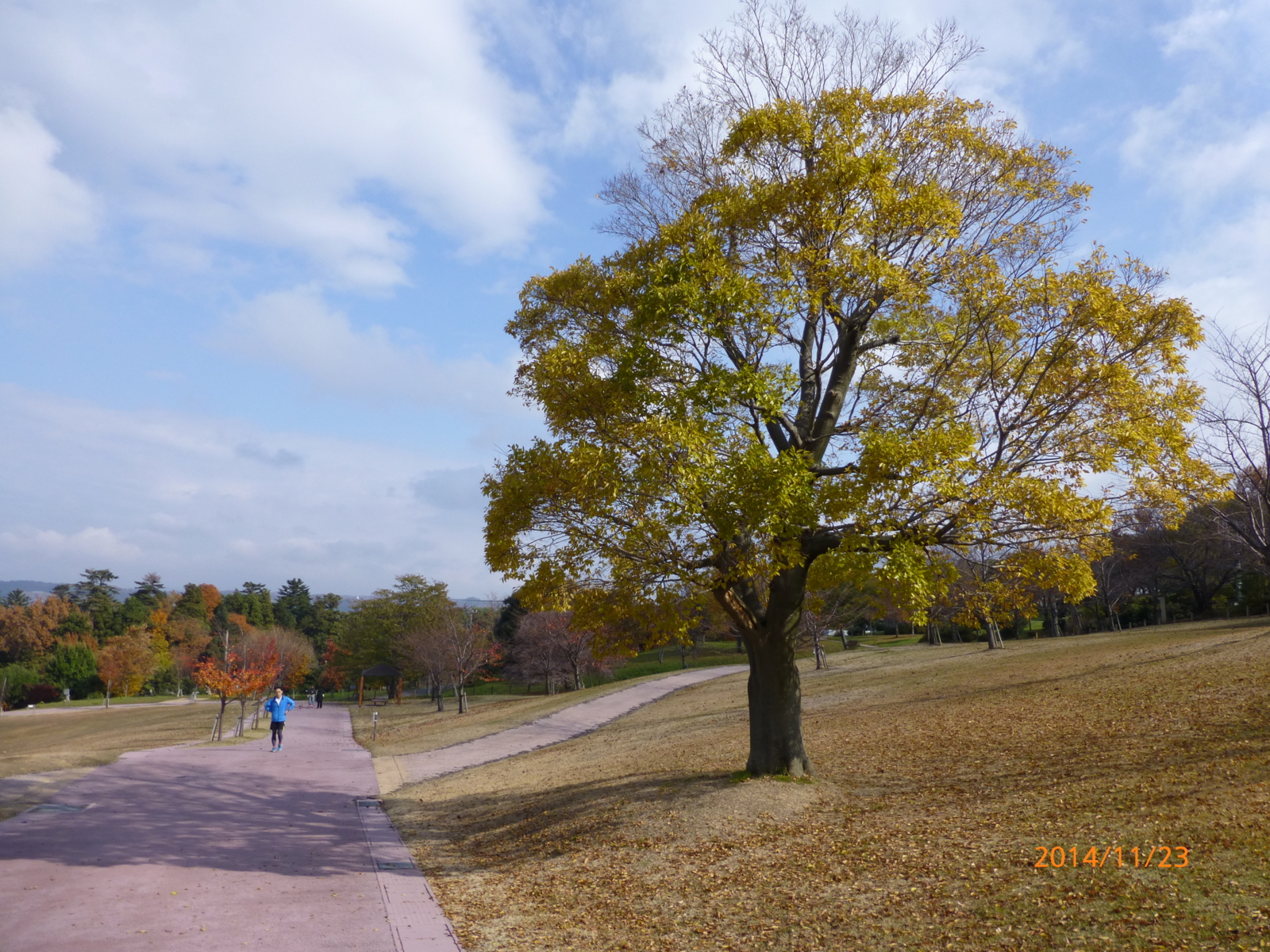 f:id:k10no3:20141123112444j:image:w279