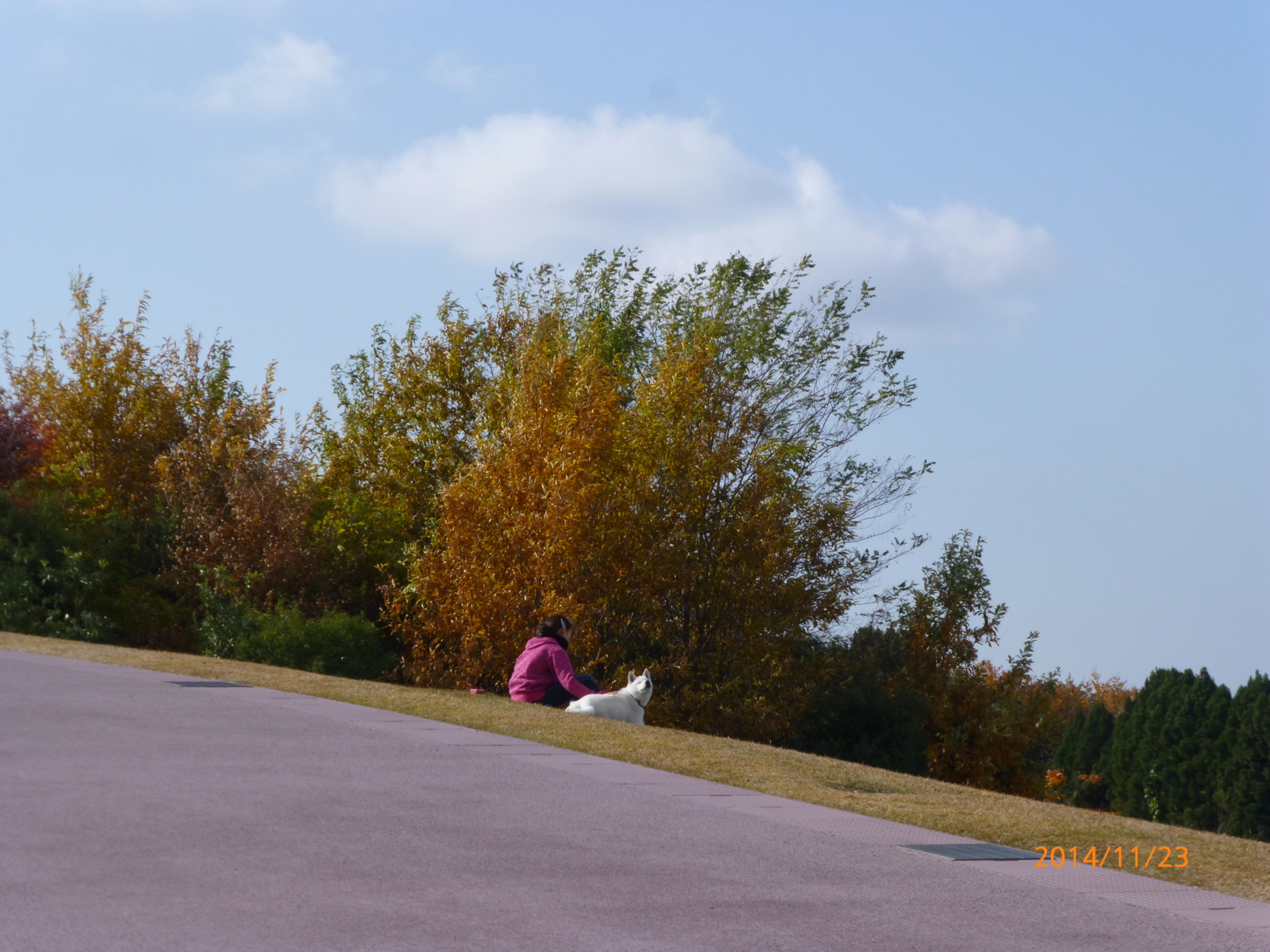 f:id:k10no3:20141123112510j:image:w560