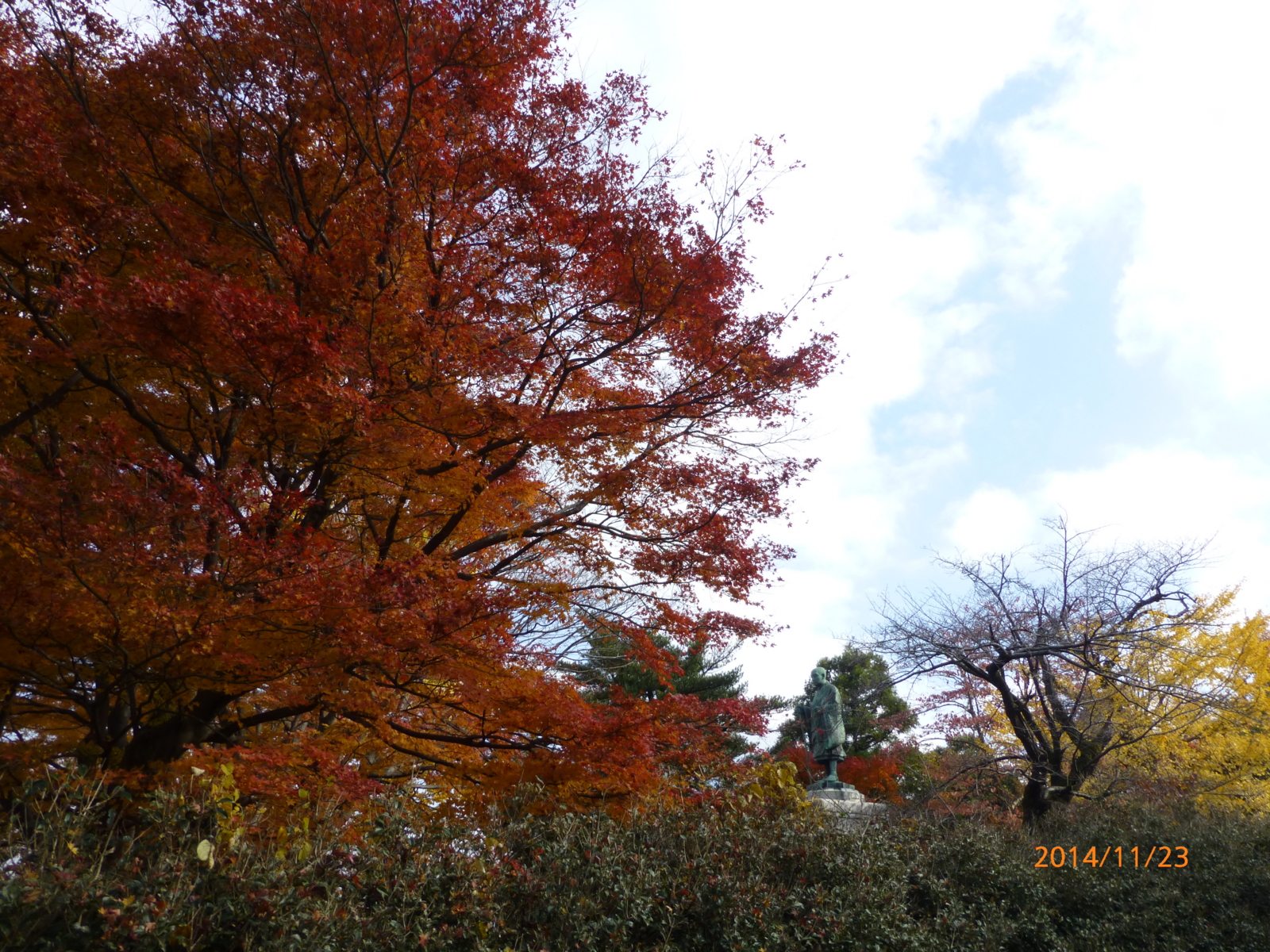 f:id:k10no3:20141123112811j:image:w279