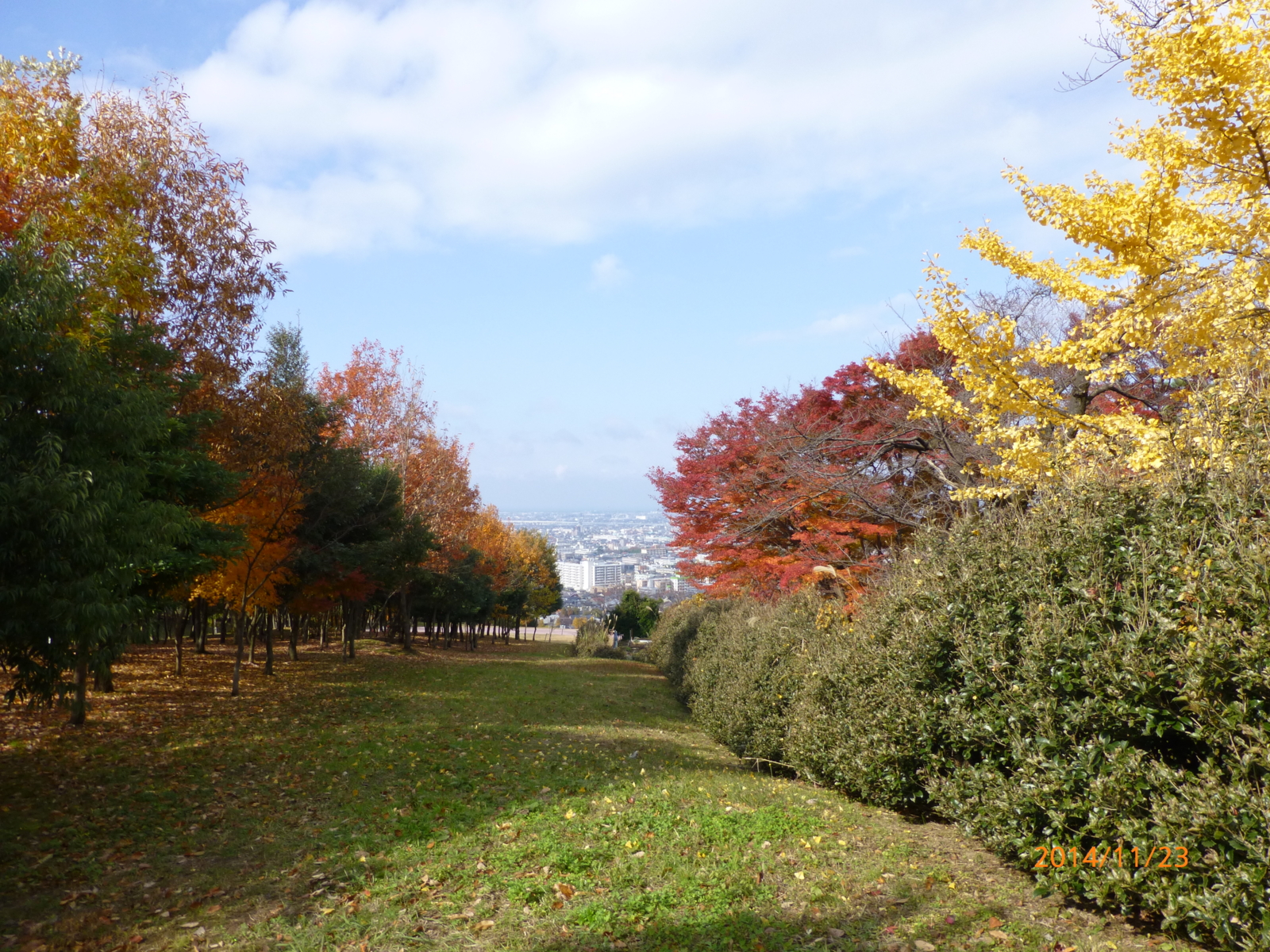 f:id:k10no3:20141123112912j:image:w279