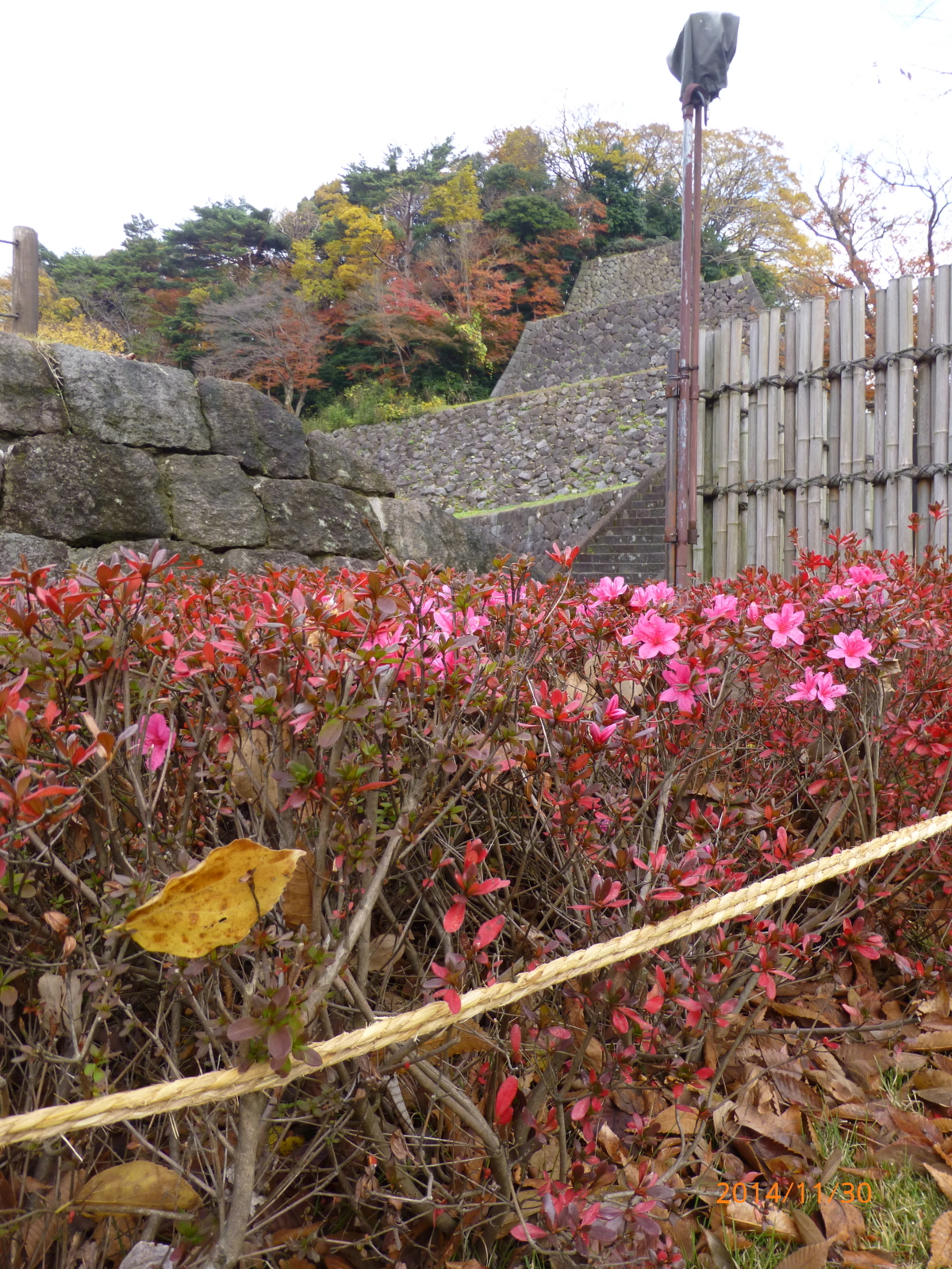 f:id:k10no3:20141130091347j:image:w420
