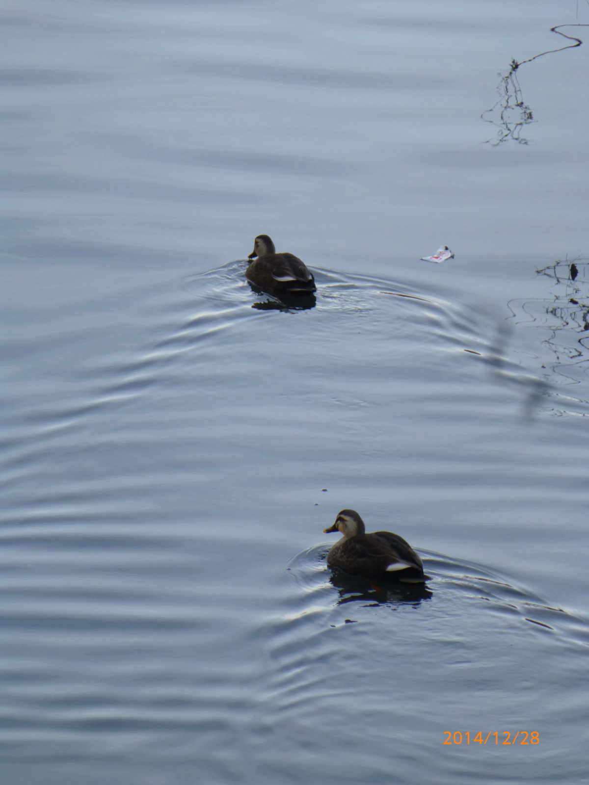 f:id:k10no3:20141228144545j:image:w420