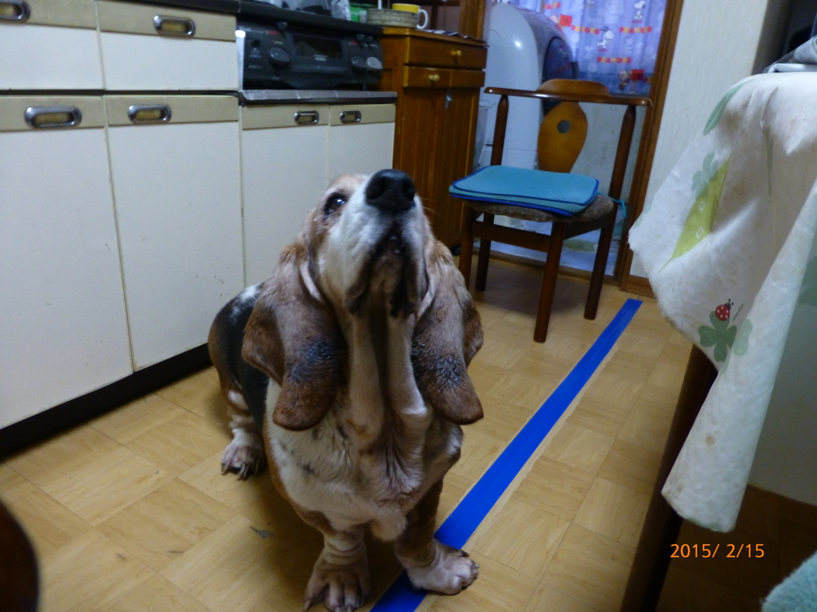 f:id:k10no3:20150215081058j:image:w640 f:id:k10no3:20150215081058j:image:w640