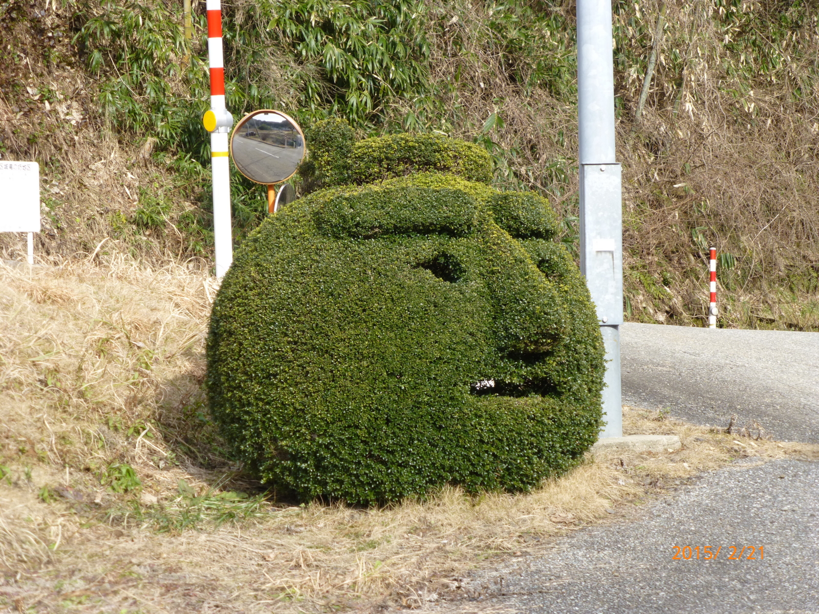 f:id:k10no3:20150221145159j:image:w279