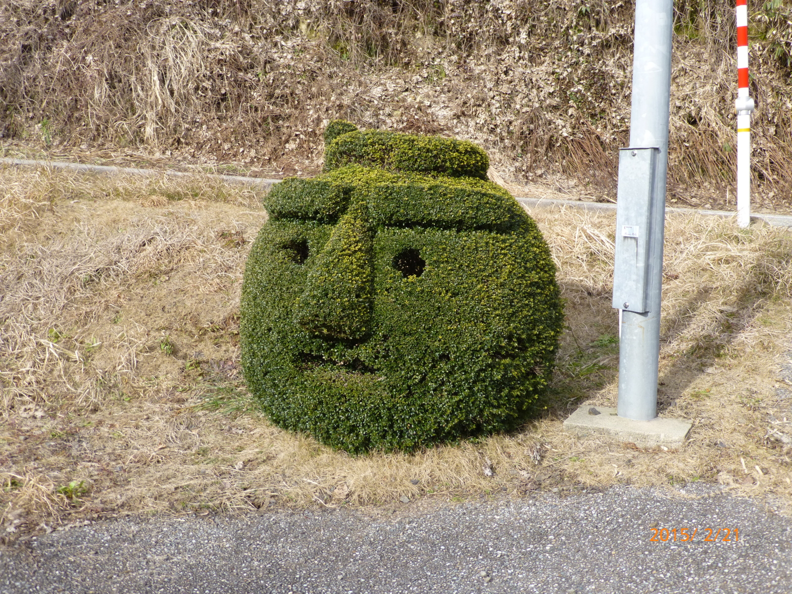 f:id:k10no3:20150221145217j:image:w279