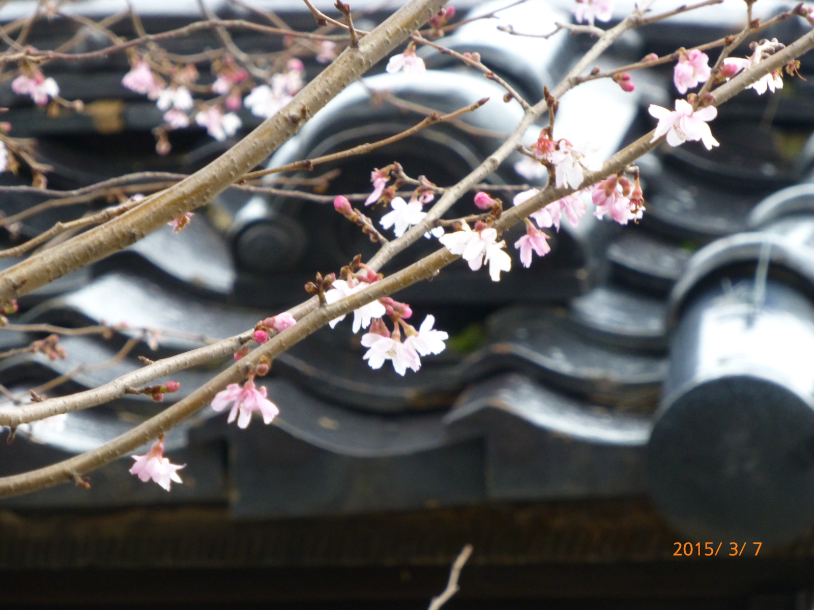 f:id:k10no3:20150307164242j:image:w560