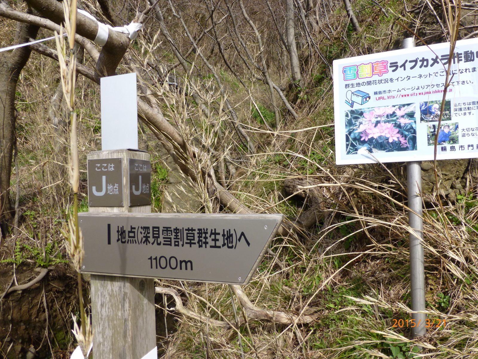 f:id:k10no3:20150321091026j:image:w279 f:id:k10no3:20150321091026j:image:w279